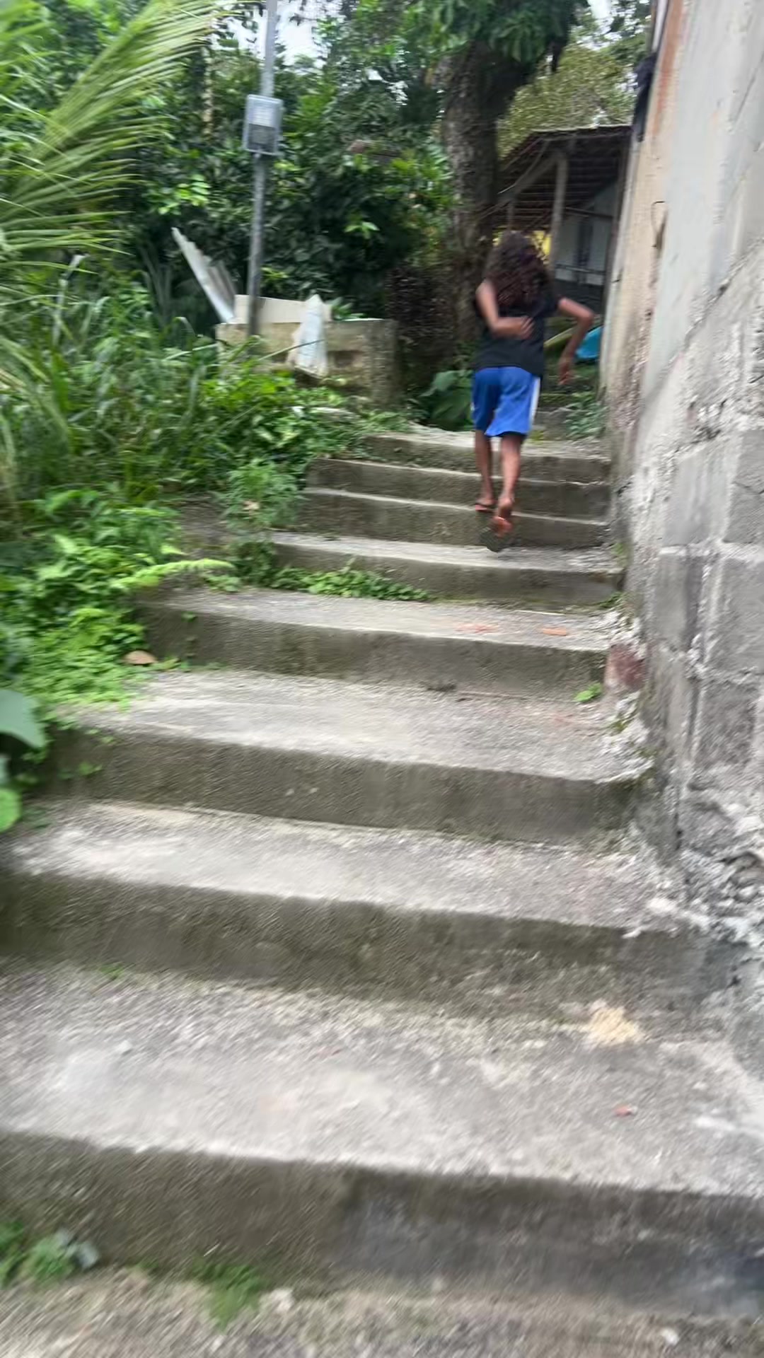 @bodão