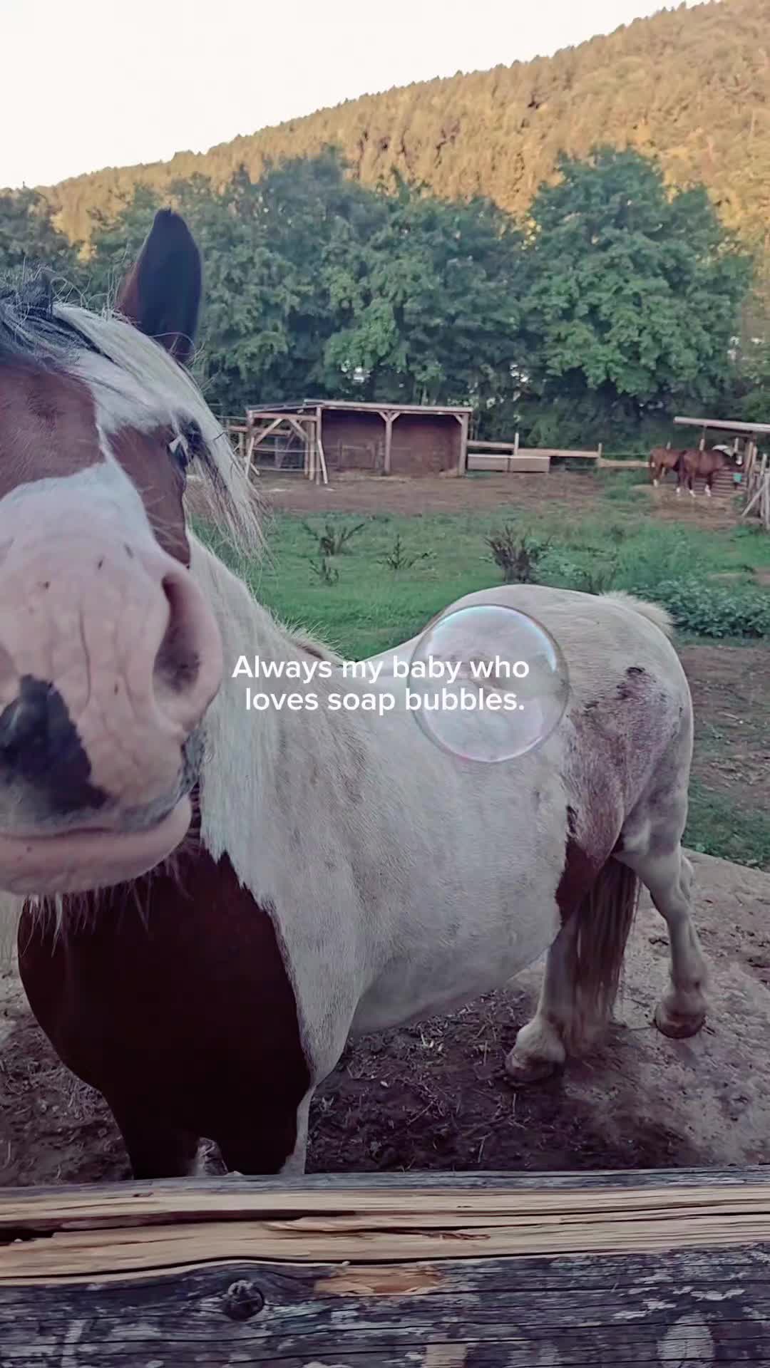 @Saphira 💕