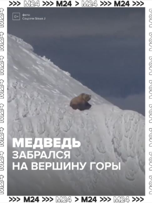 @Москва 24