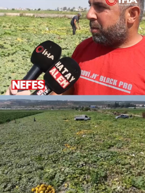 @Nefes Gazetesi