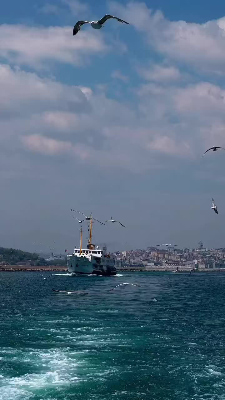 @Nemesi