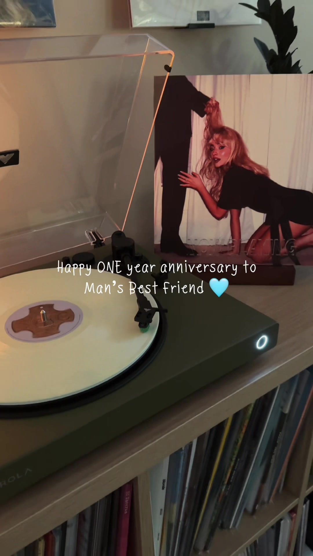 @Sam | Vinyl Record Collector