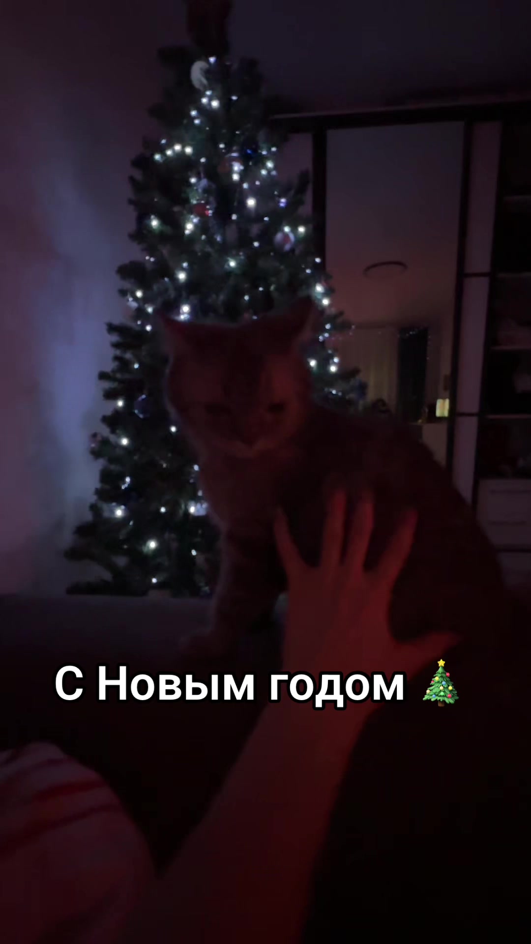 @Культ пушистого равновесия