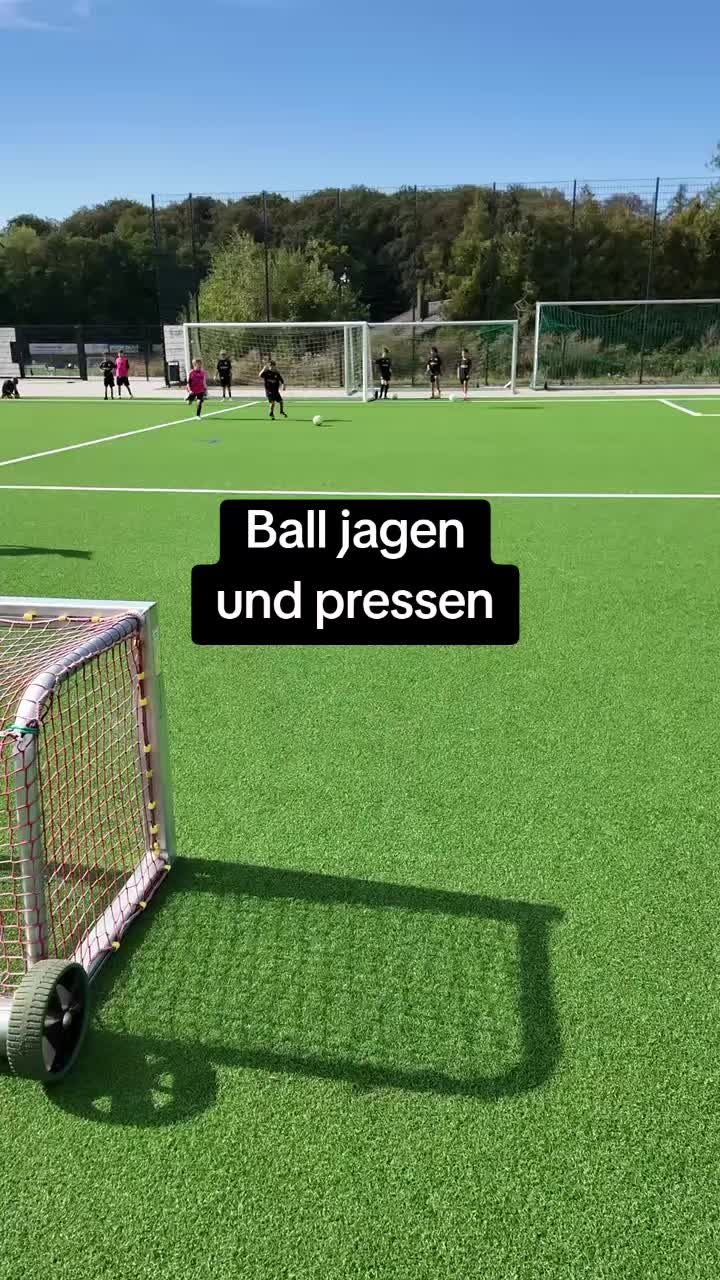 @die11erprofis 2017/18