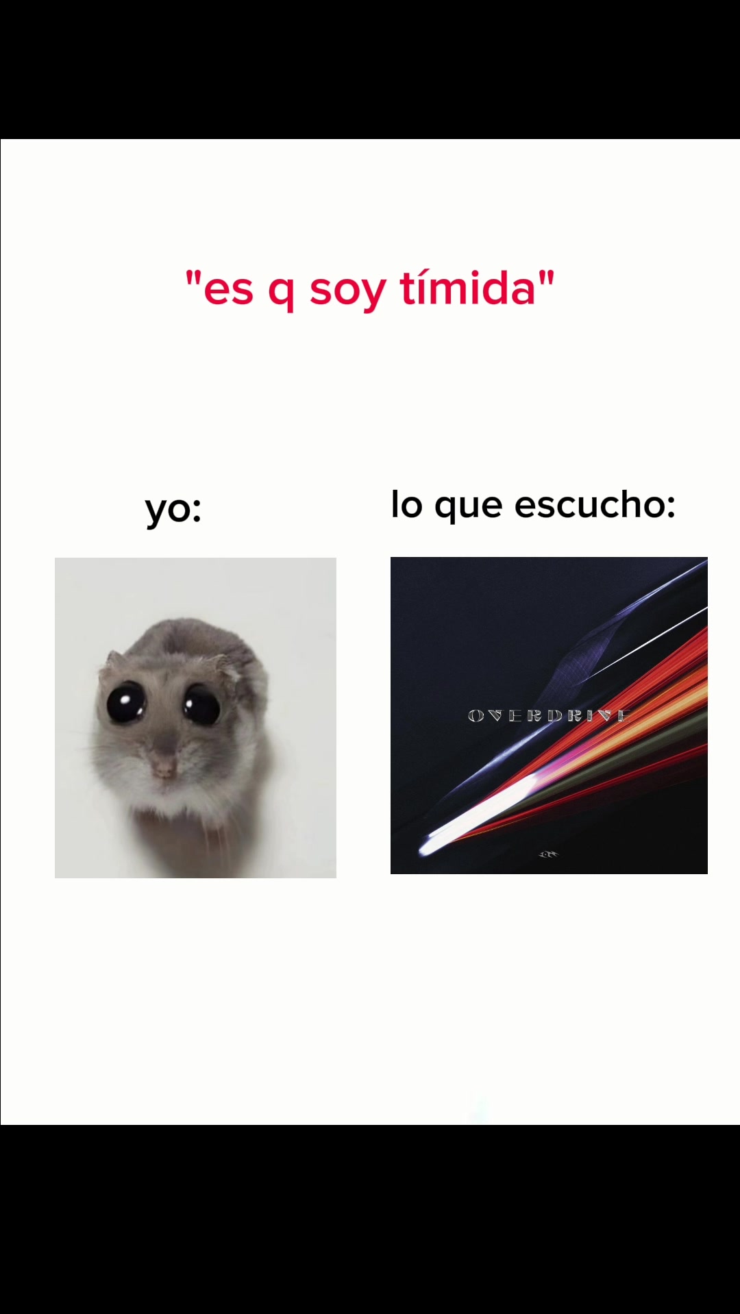 @aleeeck𐙚 ̊