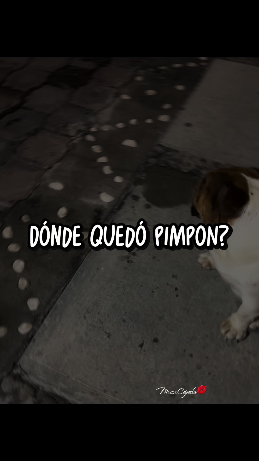 @Yuyus JM H1🏹🇲🇽💙💨🌶️
