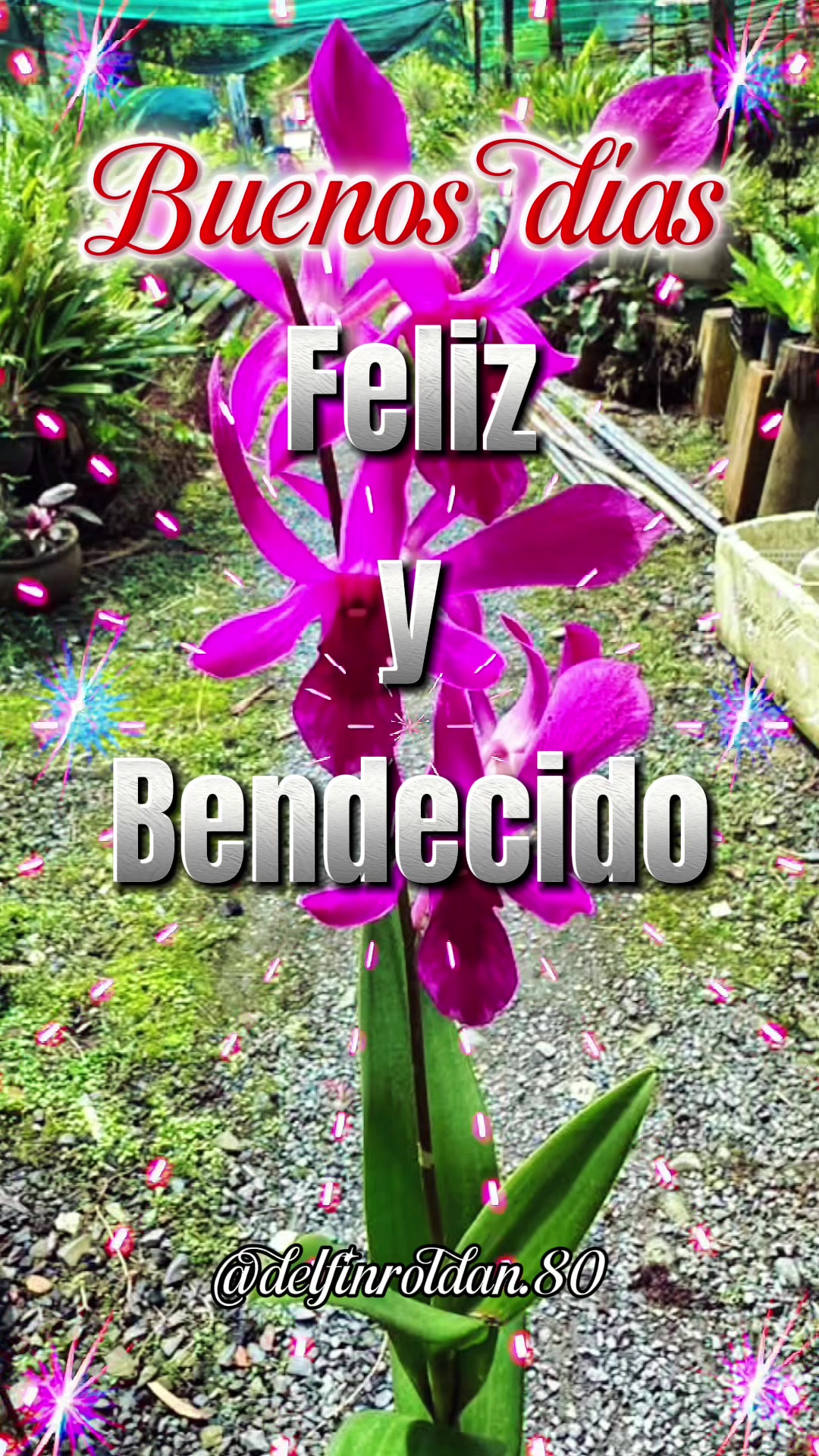 @J_C_P_A_🌺