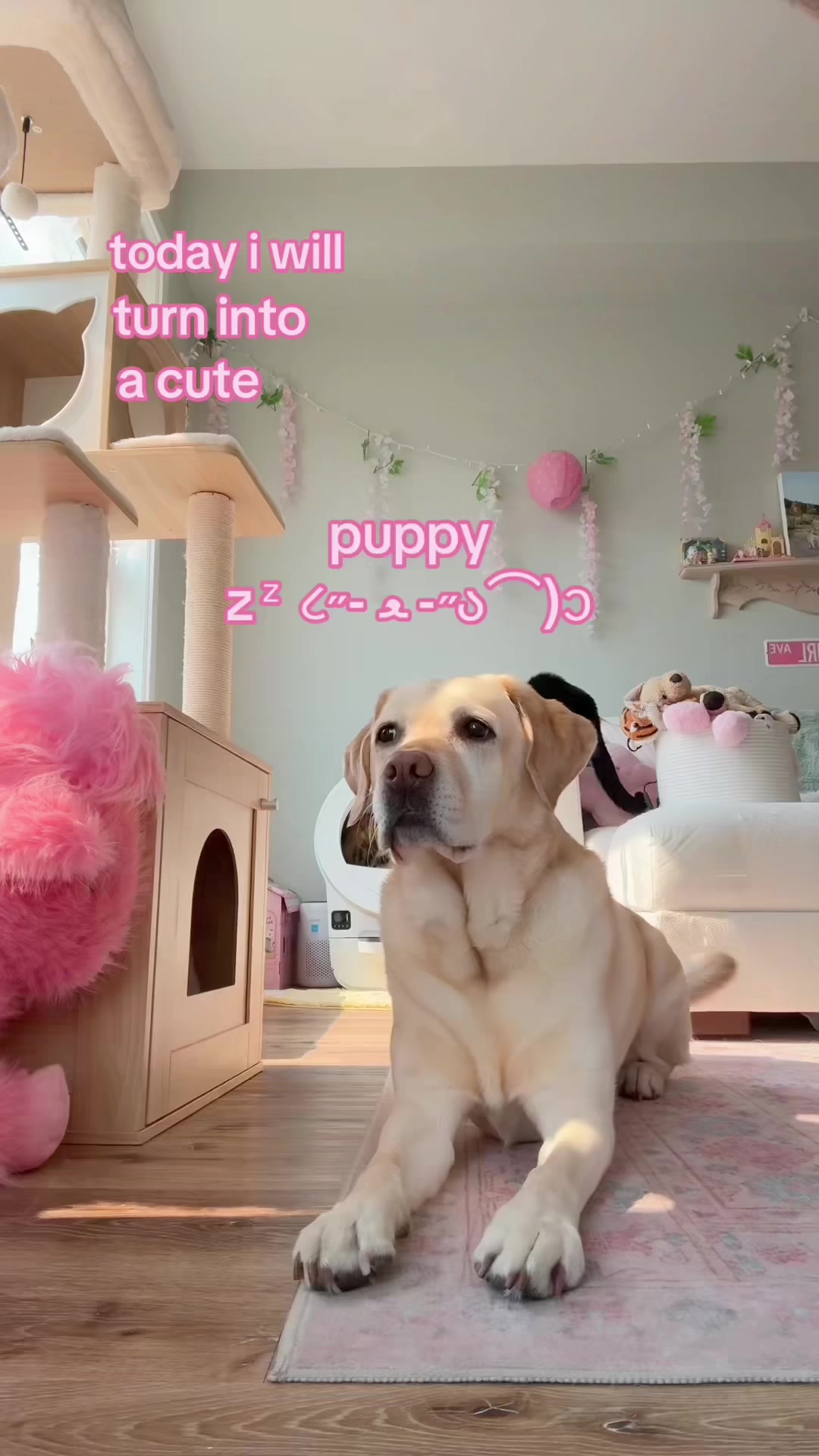 @luna <3