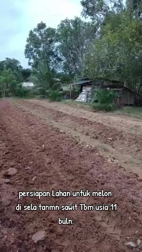 @SURYA TANI