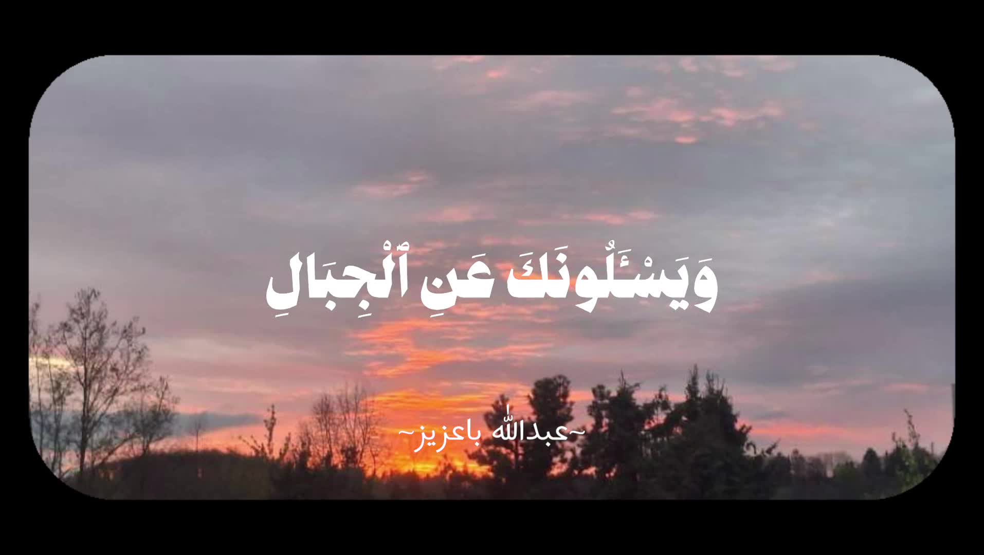 @abdux.cbg