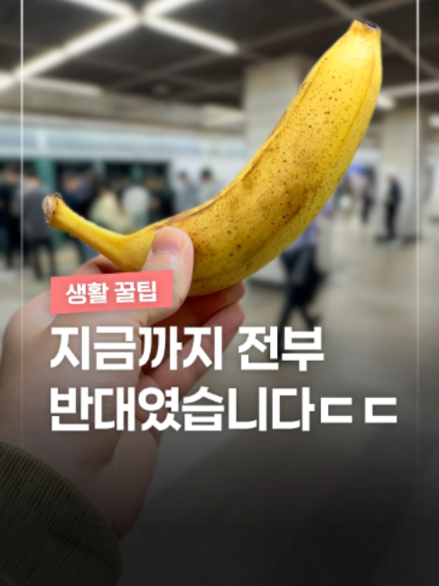 @짤컷