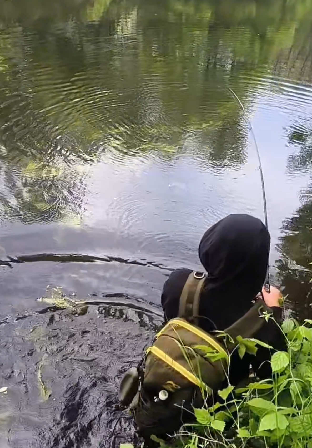 @𝗧𝗚.𝗗𝗬𝗫𝗙𝗜𝗦𝗛🎣