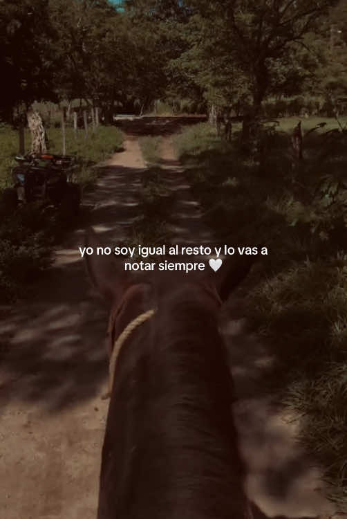 @amellaly