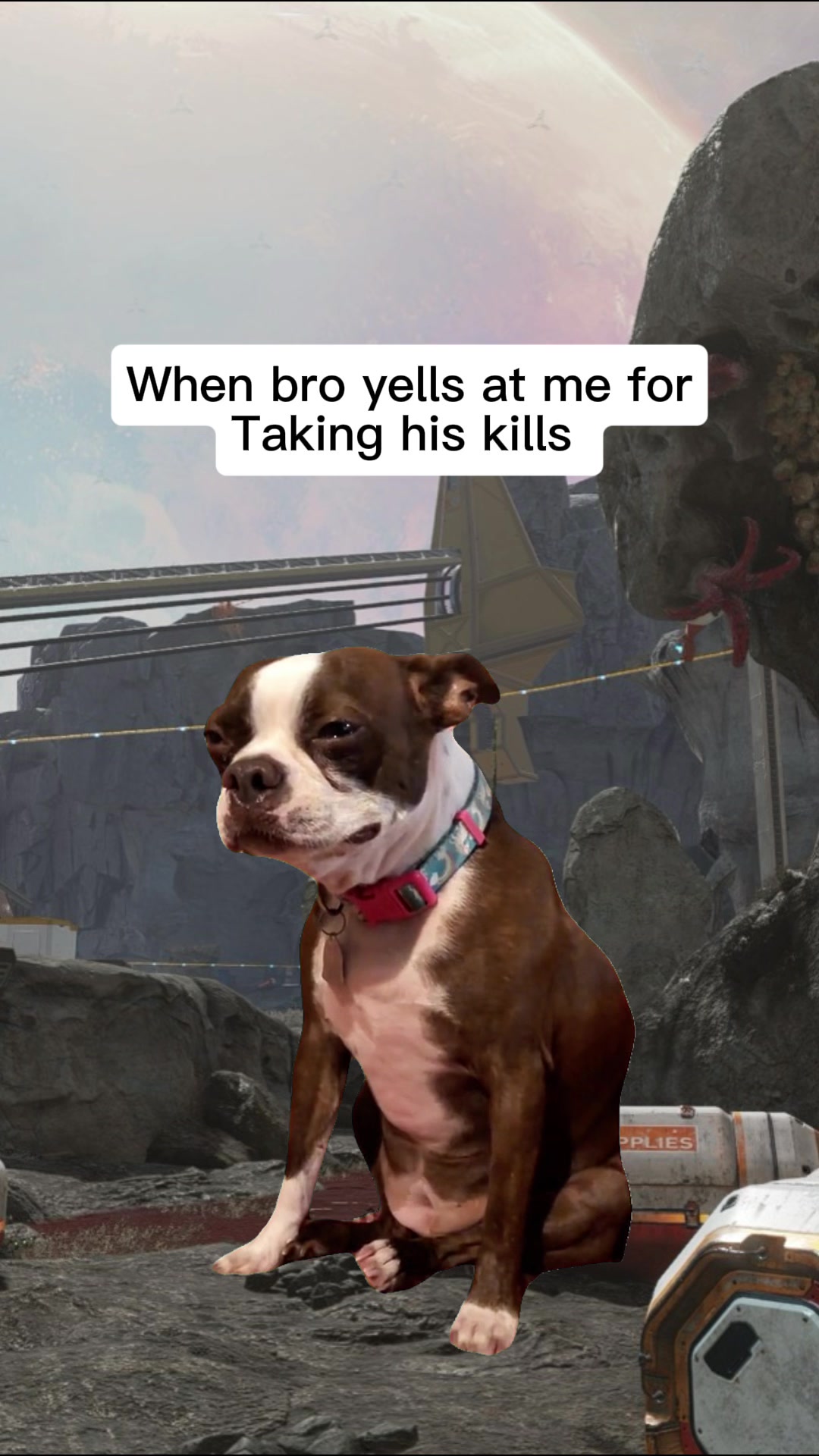 @Draco