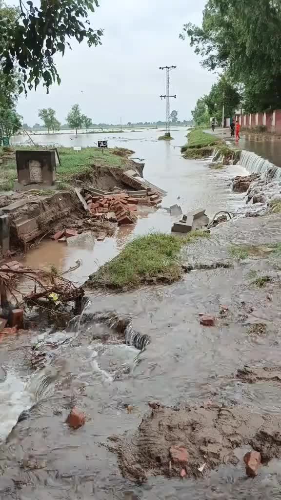 @sabarali