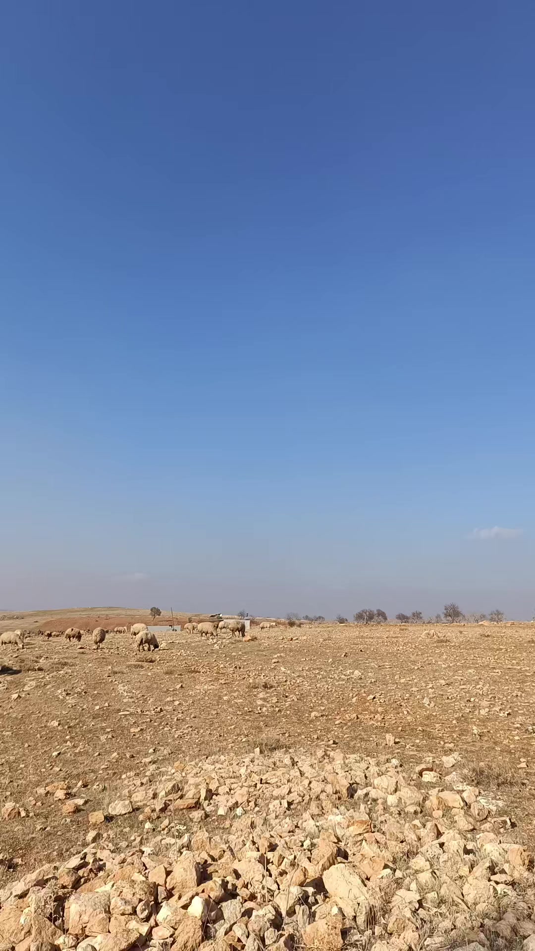 @Erdem akyavuz 2