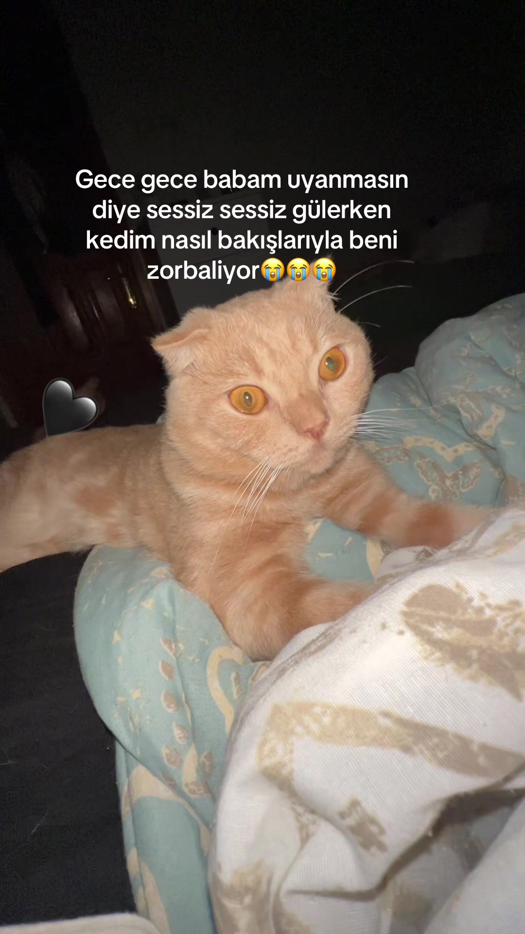 @Maxxie