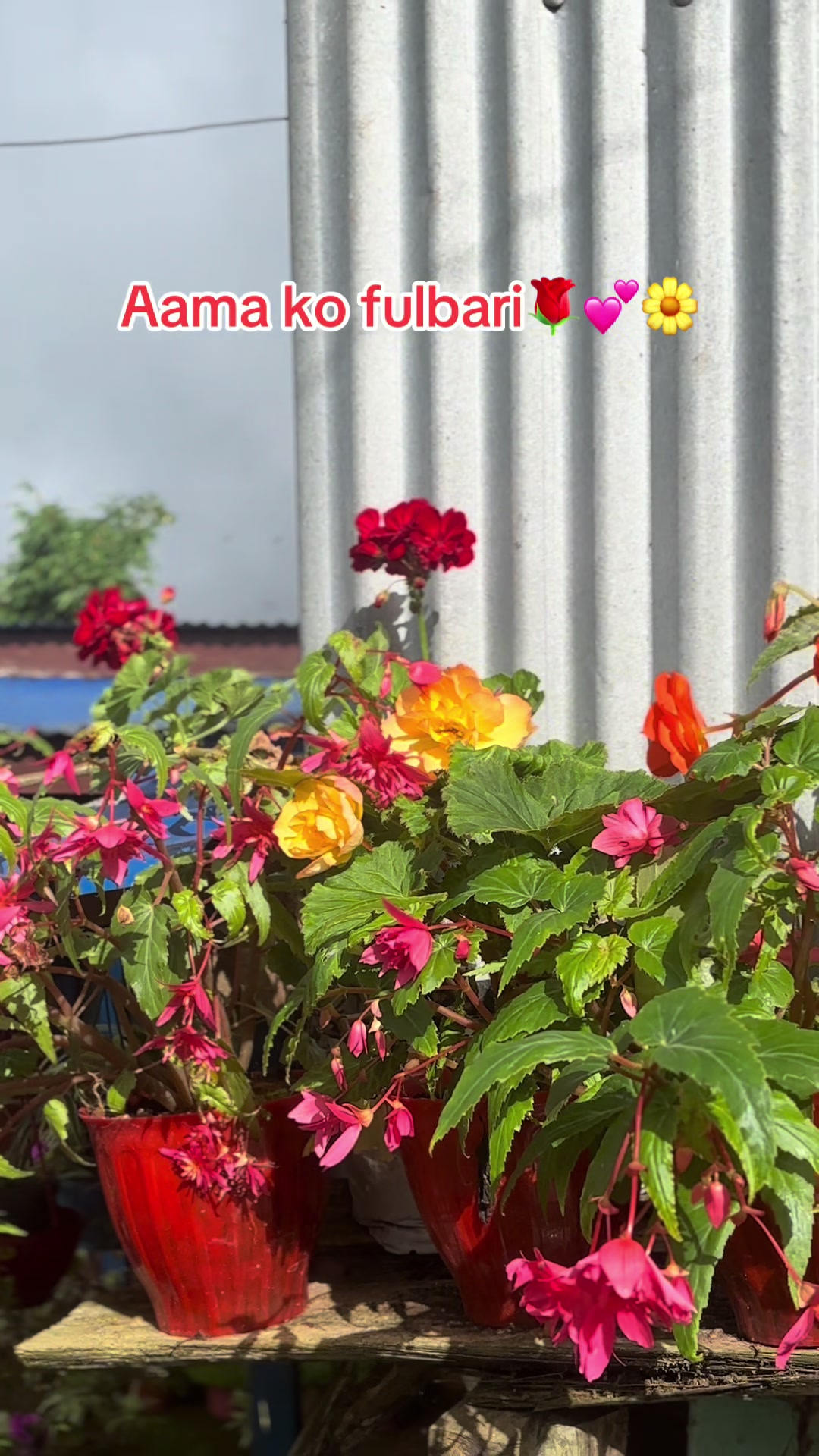 @12/13🩺❤️