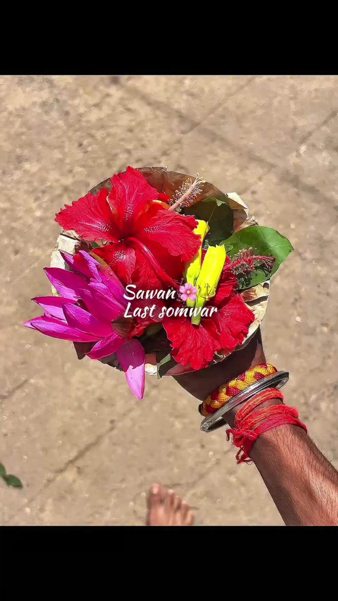 @Mahadev Ki Deewani🤍🙏