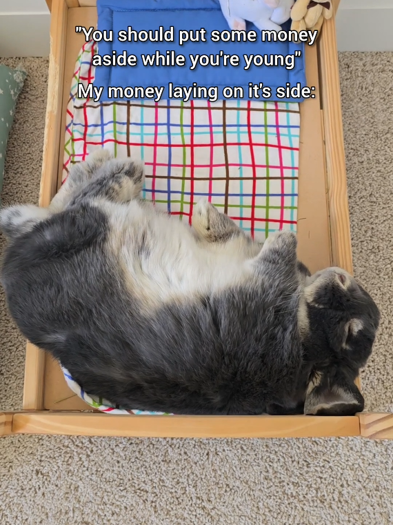 @Blueberry the Bunny