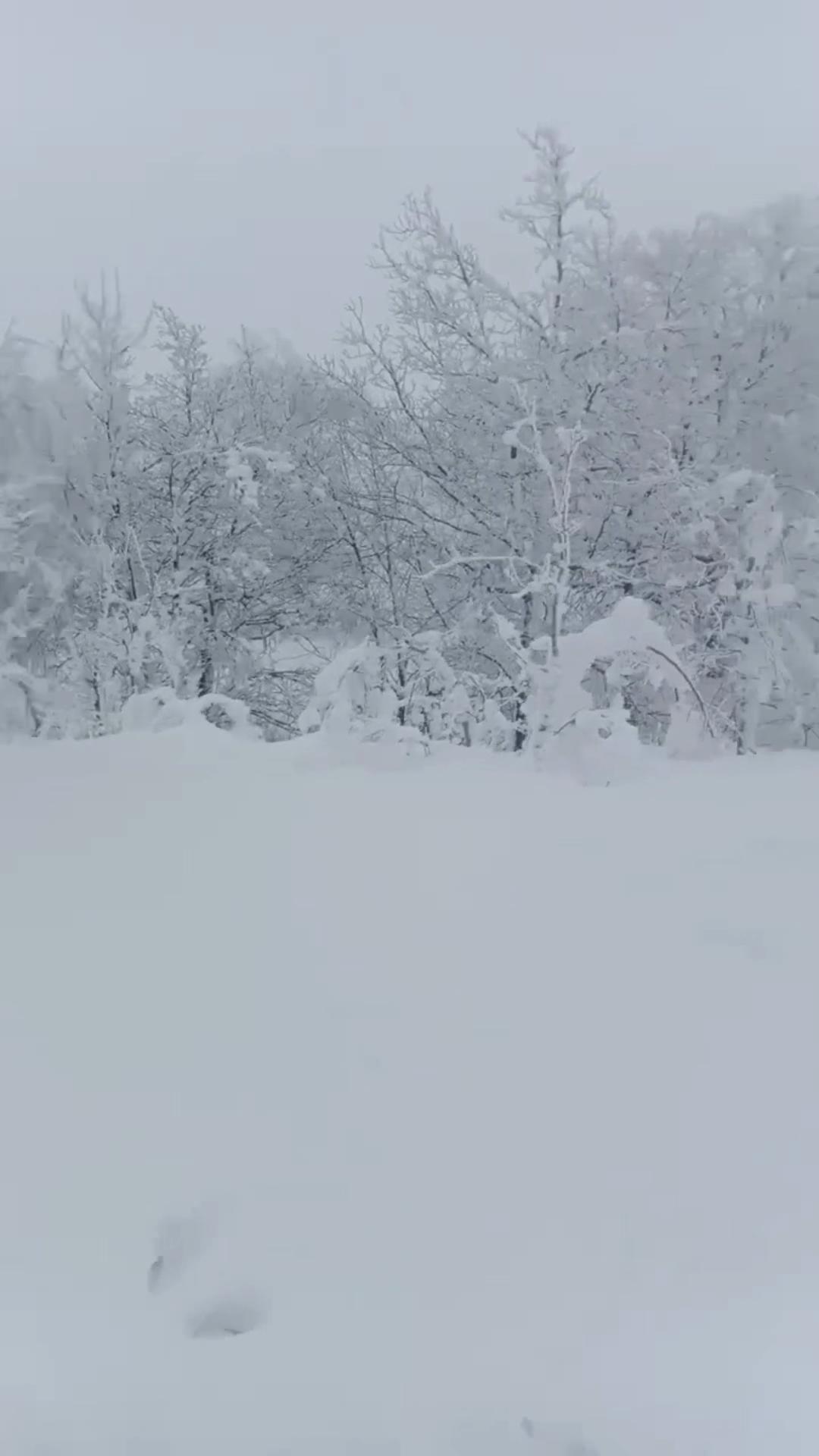 @Алена Безымянная