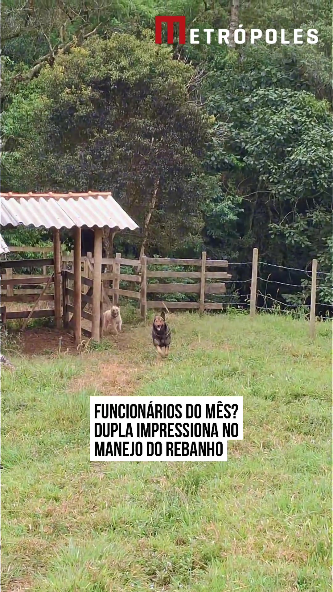 @Metr&oacute;poles Oficial