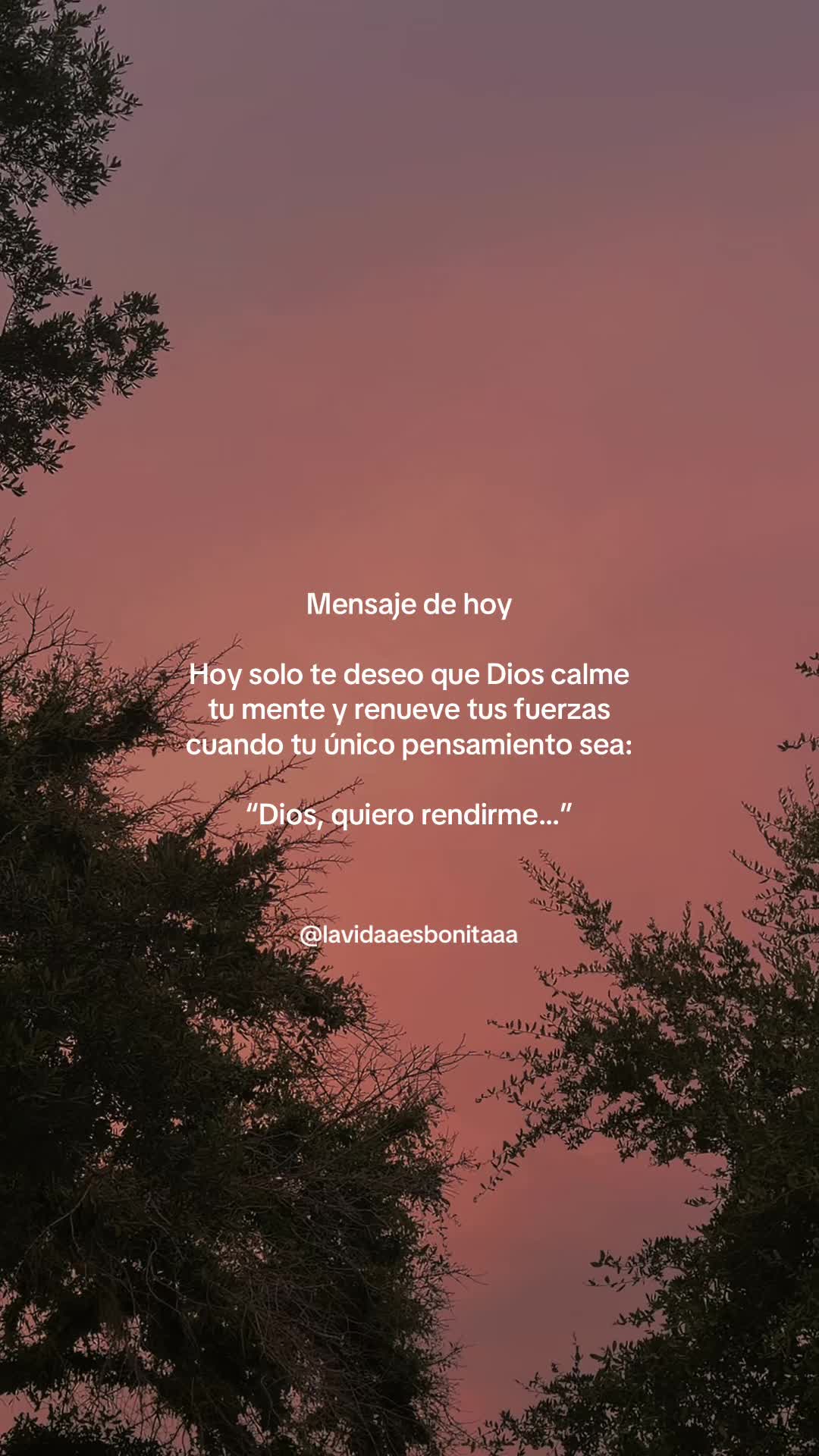 @vidabonita❤️🩹