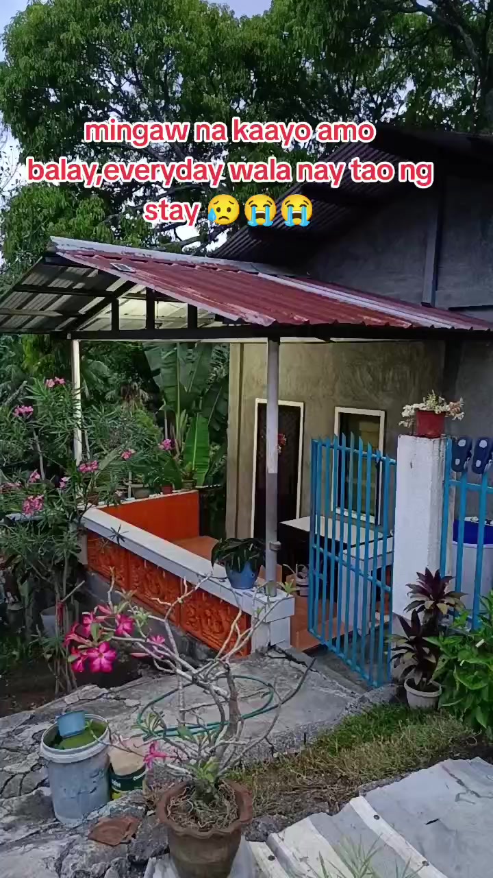 @kadodong vlog