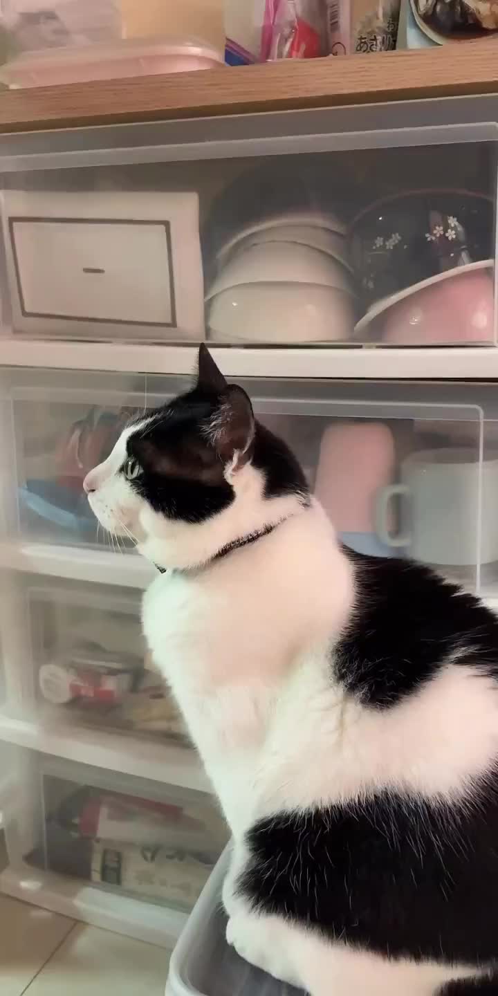 @๐ฑใใใใ๐ฑ