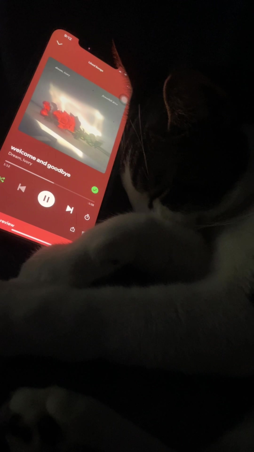 @sleepycatwithmusic