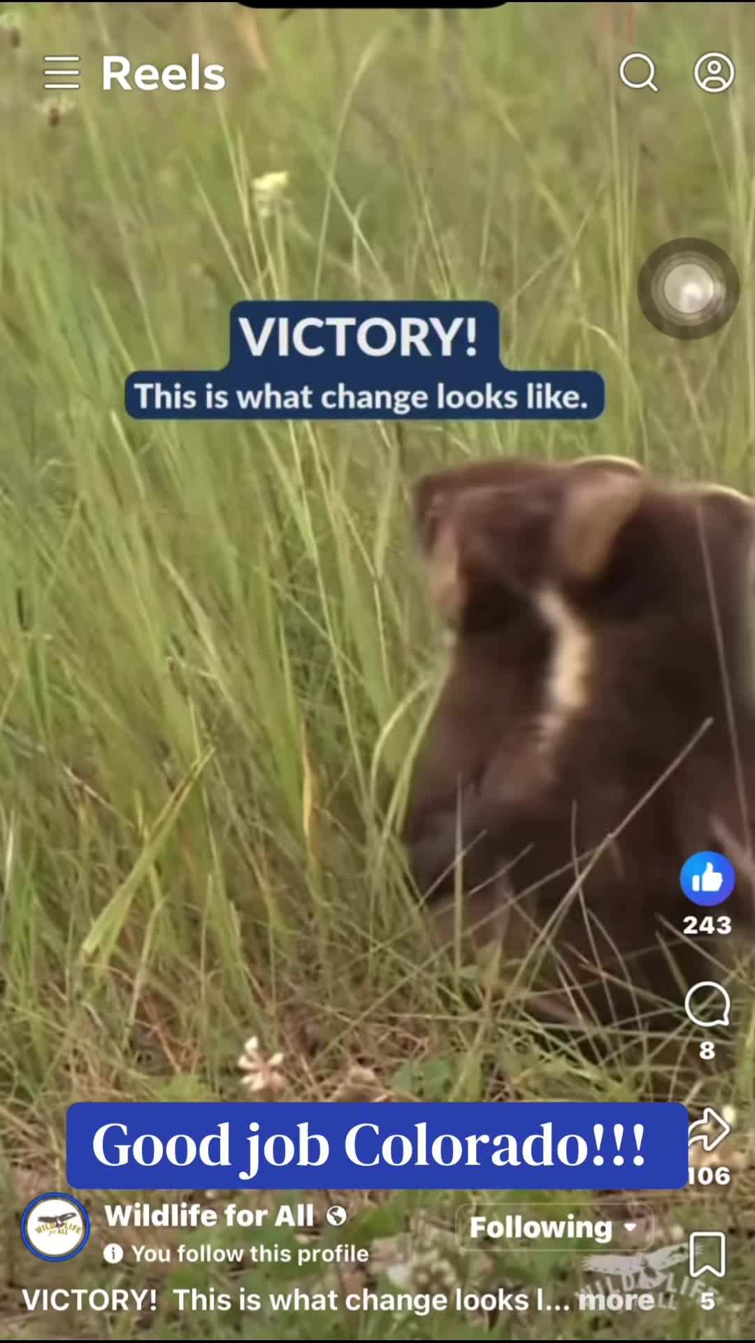 @jen_wyoming_viking