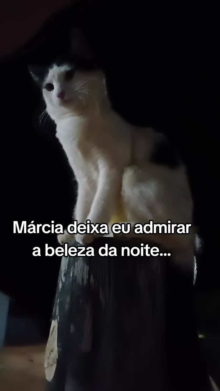 @Amante da natureza