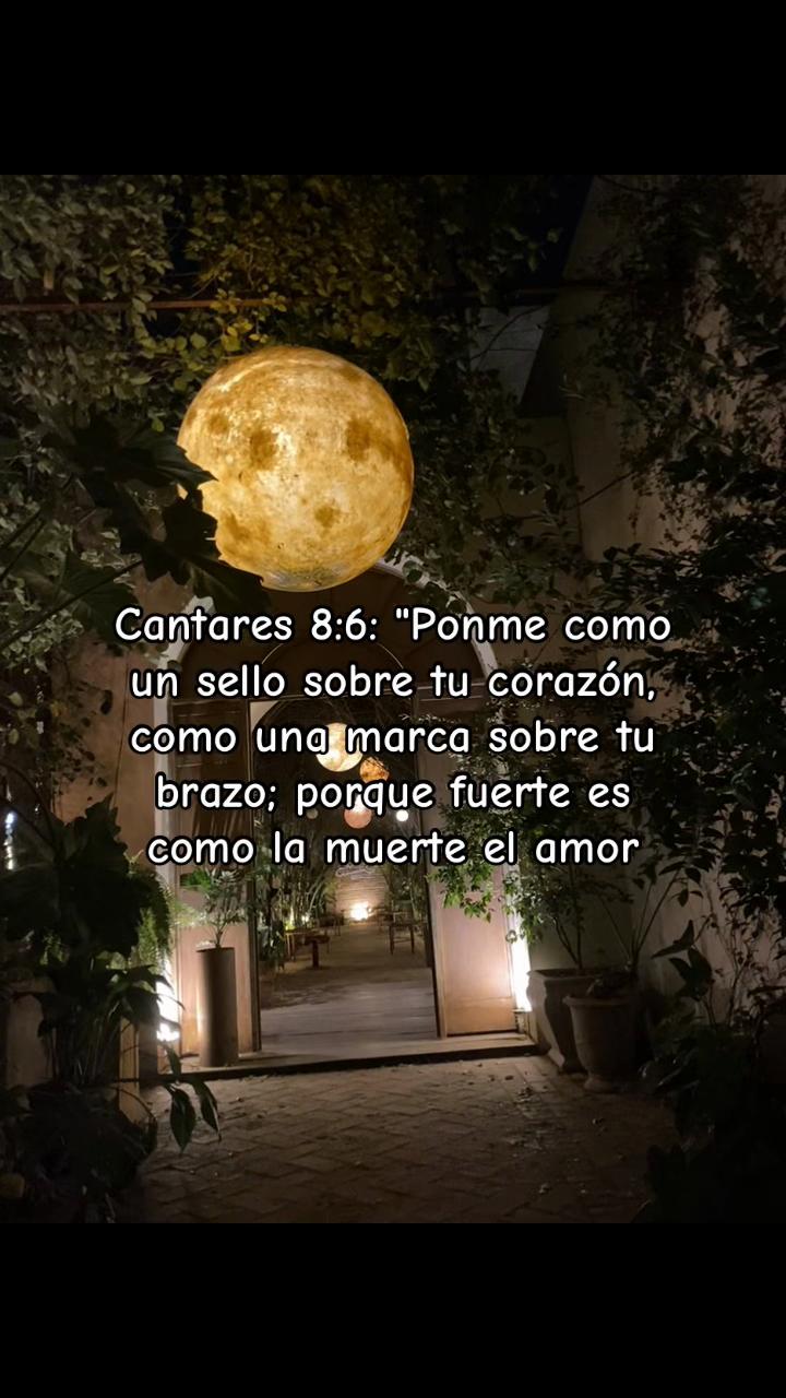 @Zzarahacosta
