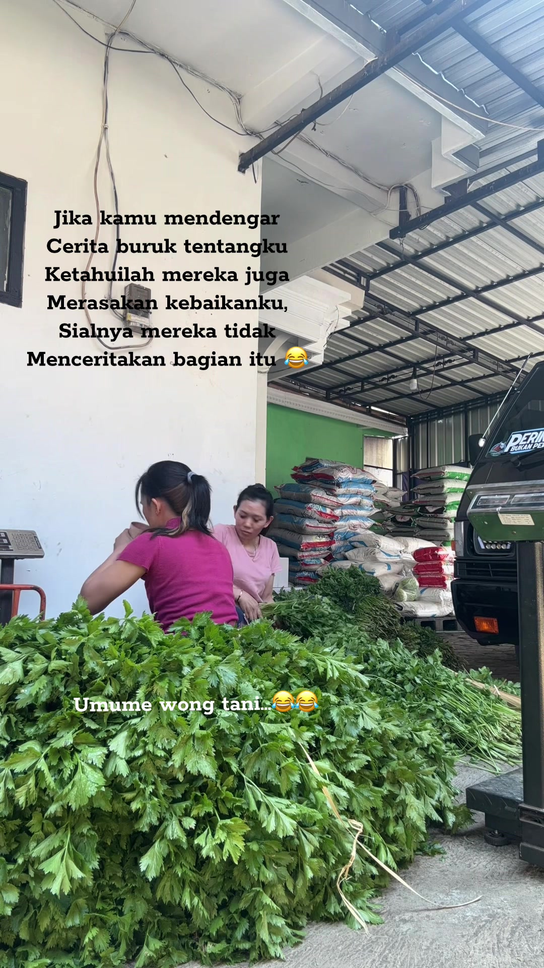 @suci.rochmah