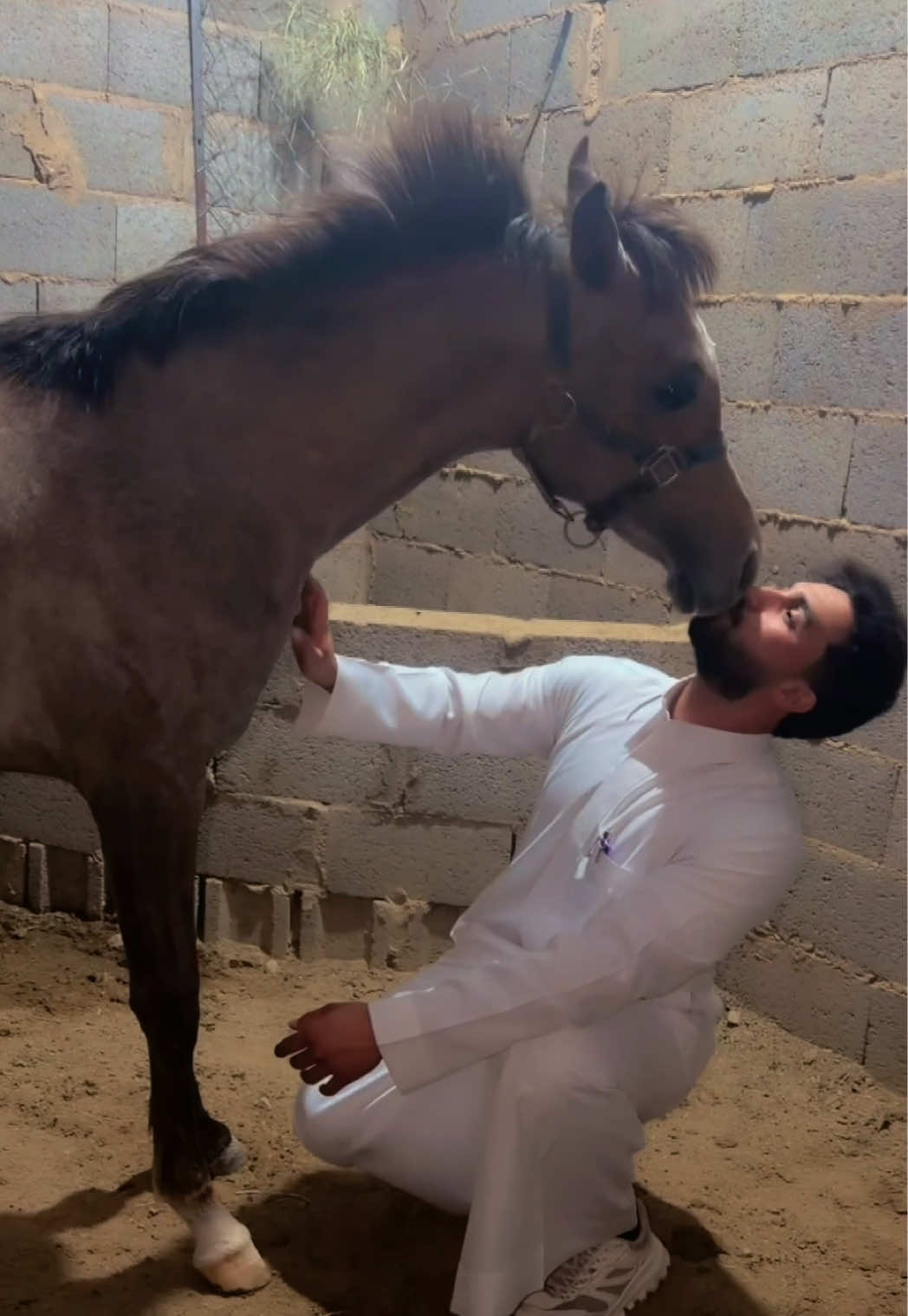 @بـاسـل الـوادعـي⭐️🐎