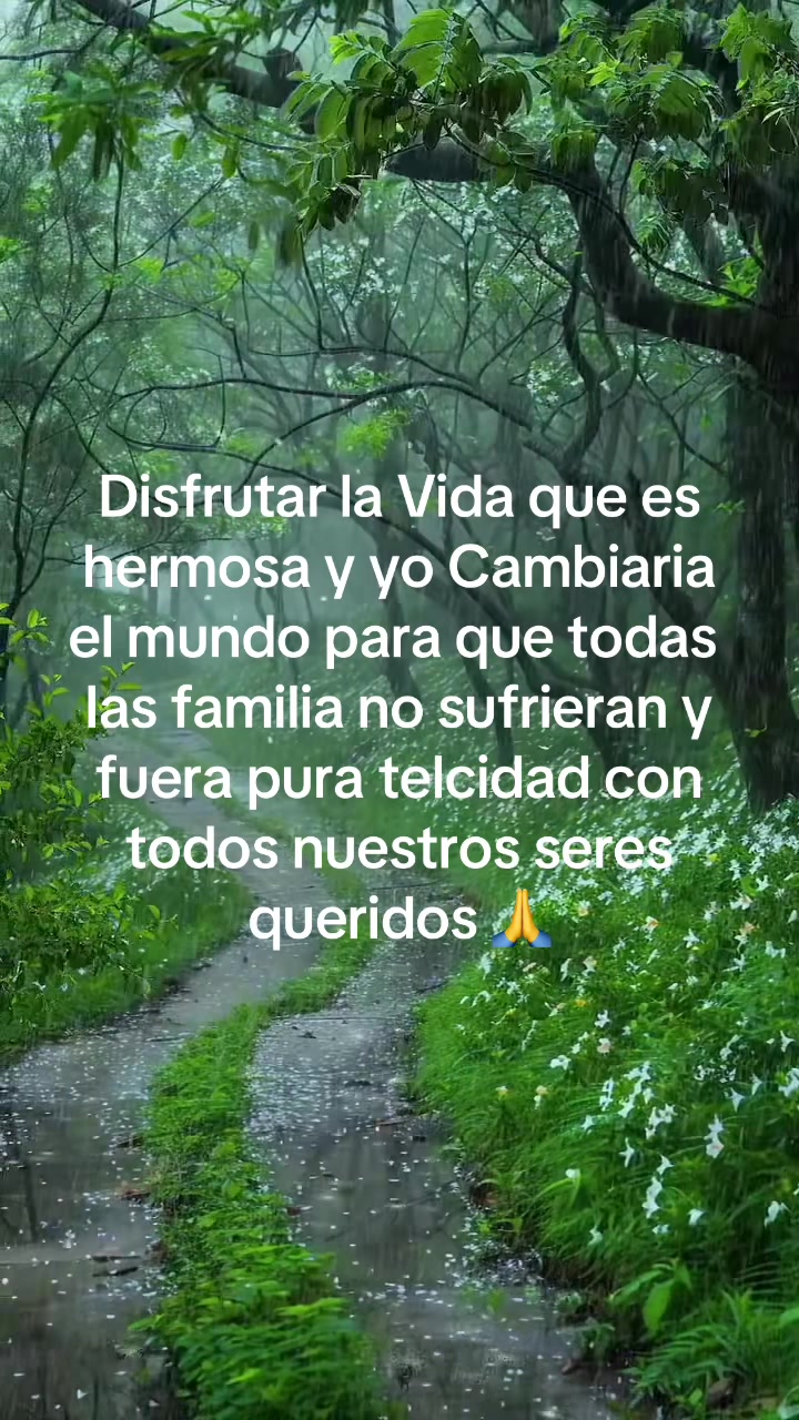 @antonia palomino