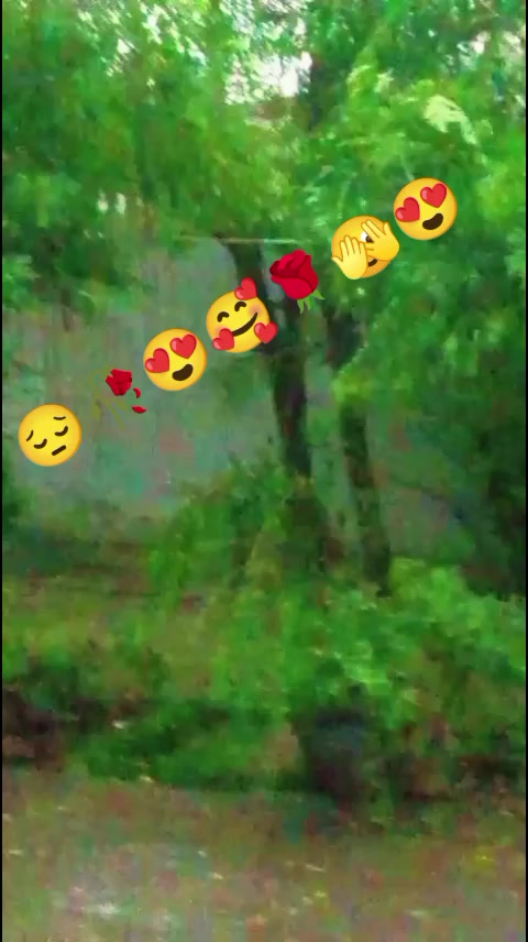 @Hassan Hussain💞