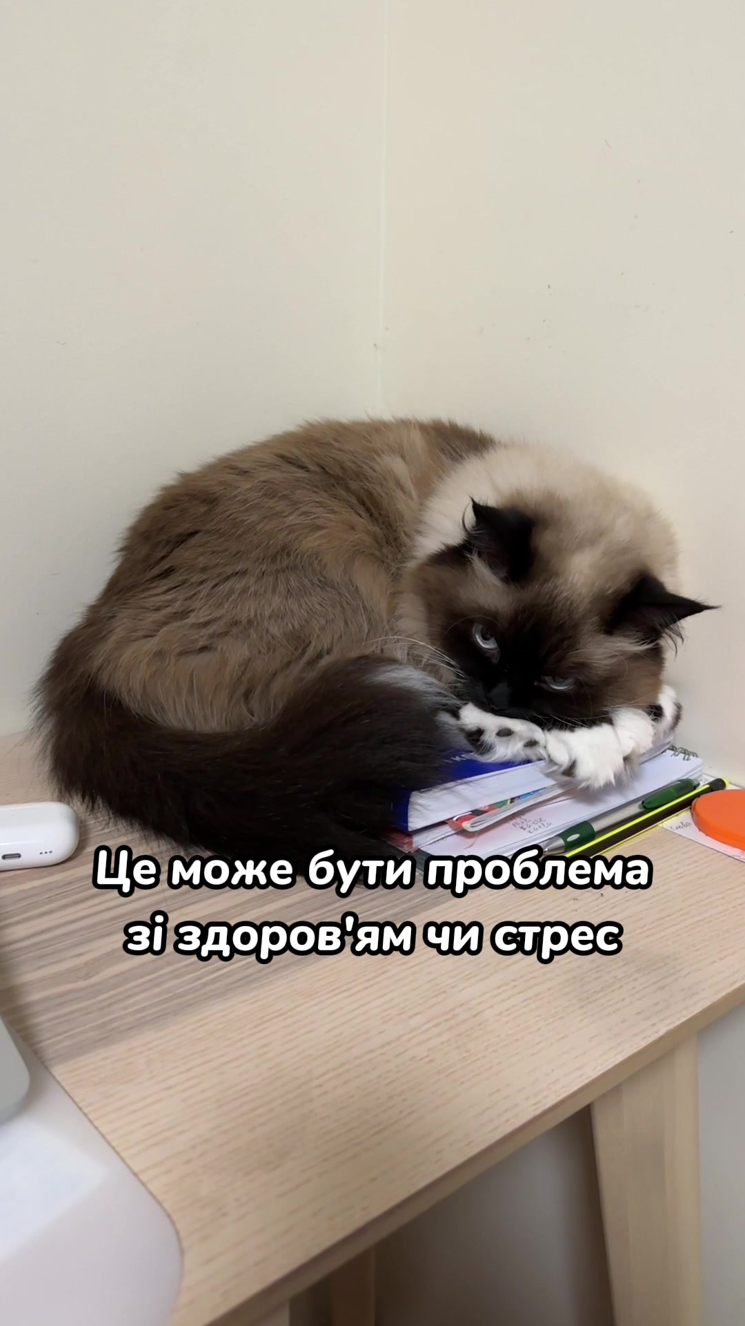 @Місс КІСЯ