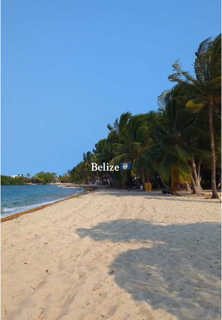 @Mac🌺🗺️| Solo Travel & UGC