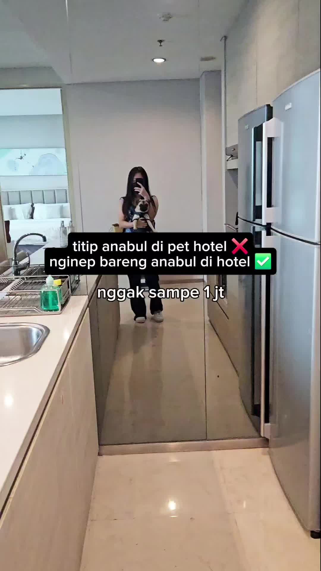 @Miso The Pug | Eat&Travel 🐾
