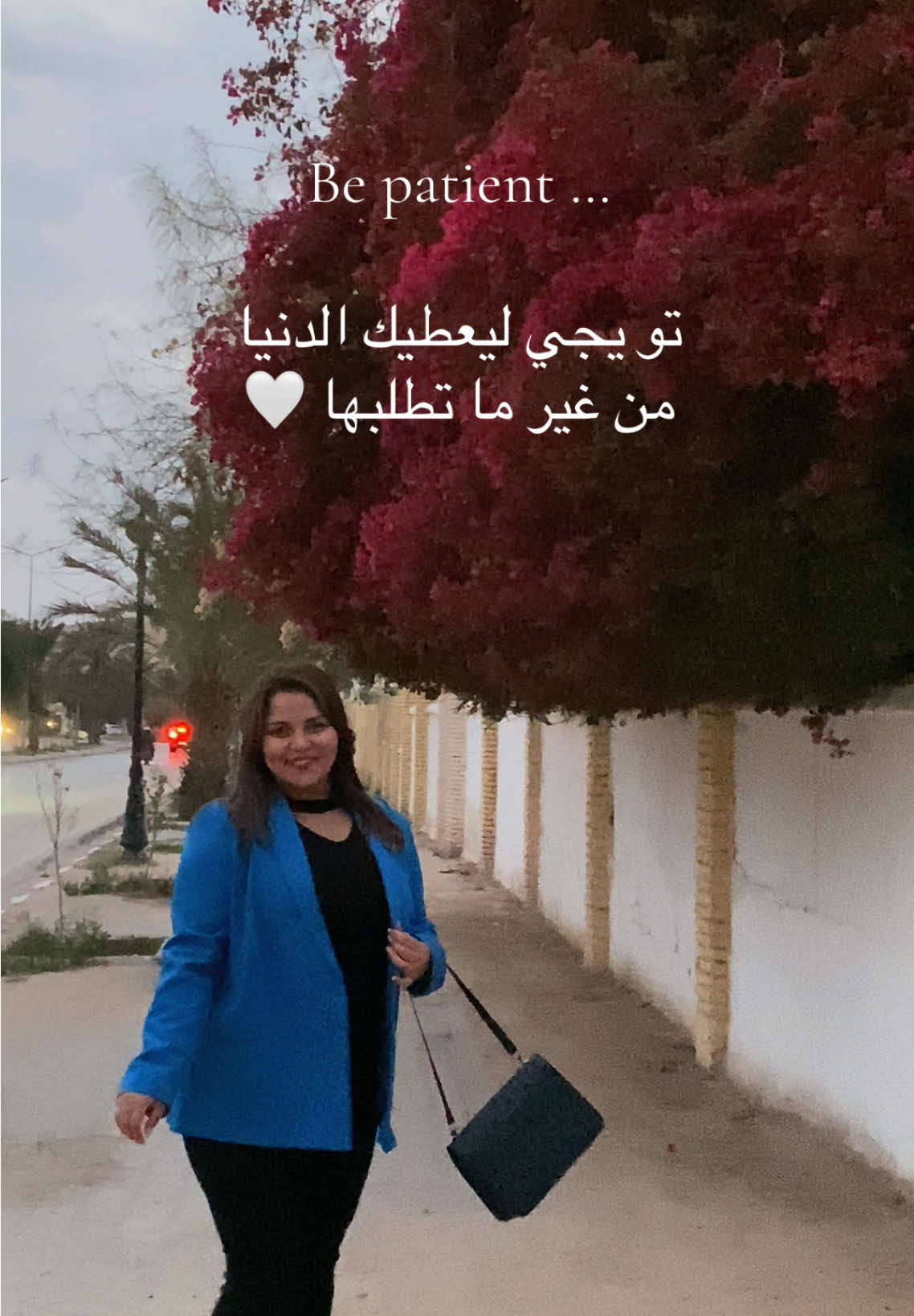 @Dina-دينا