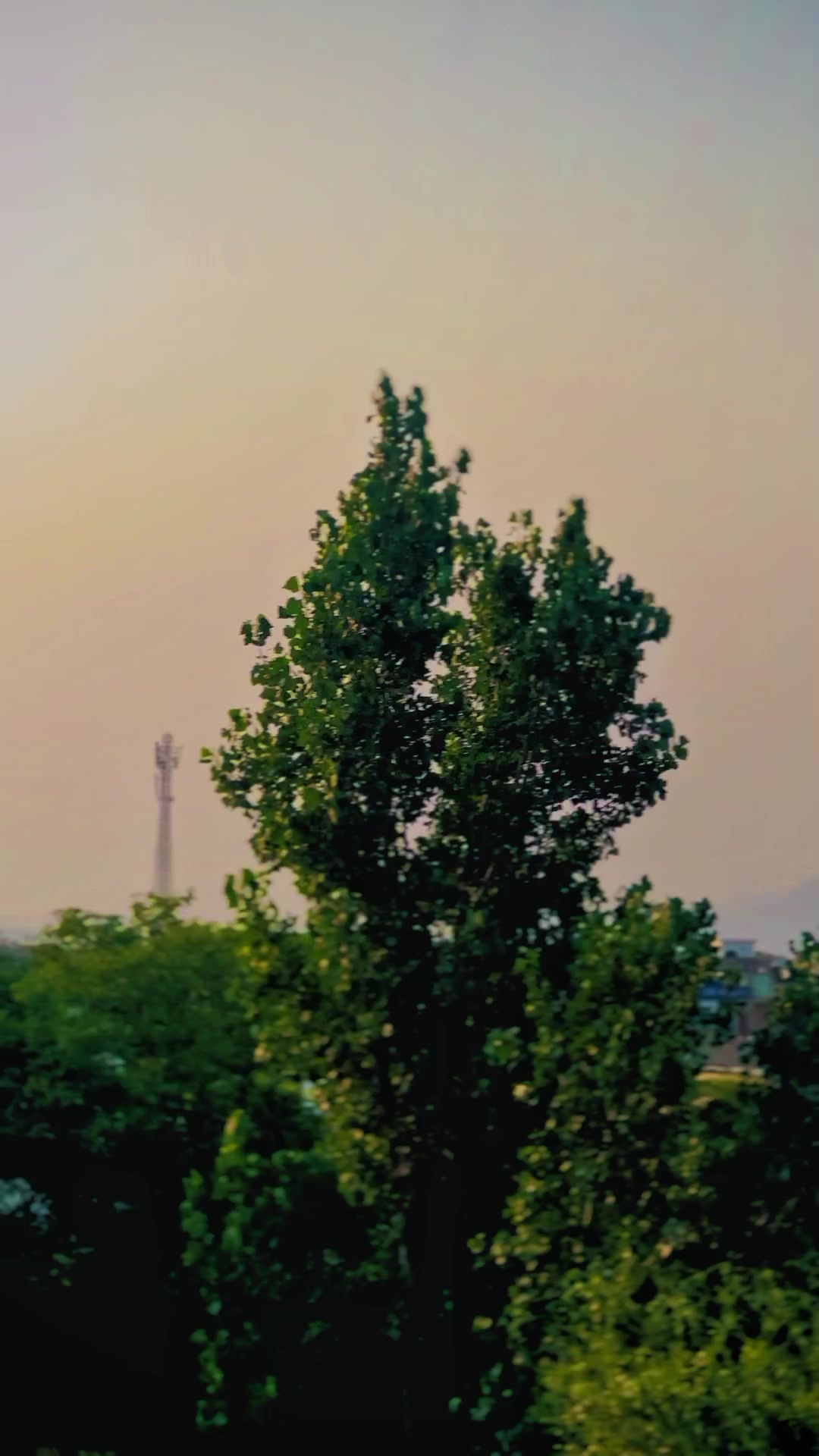 @🥷SAMEER KHAN RAJPOOT🦅