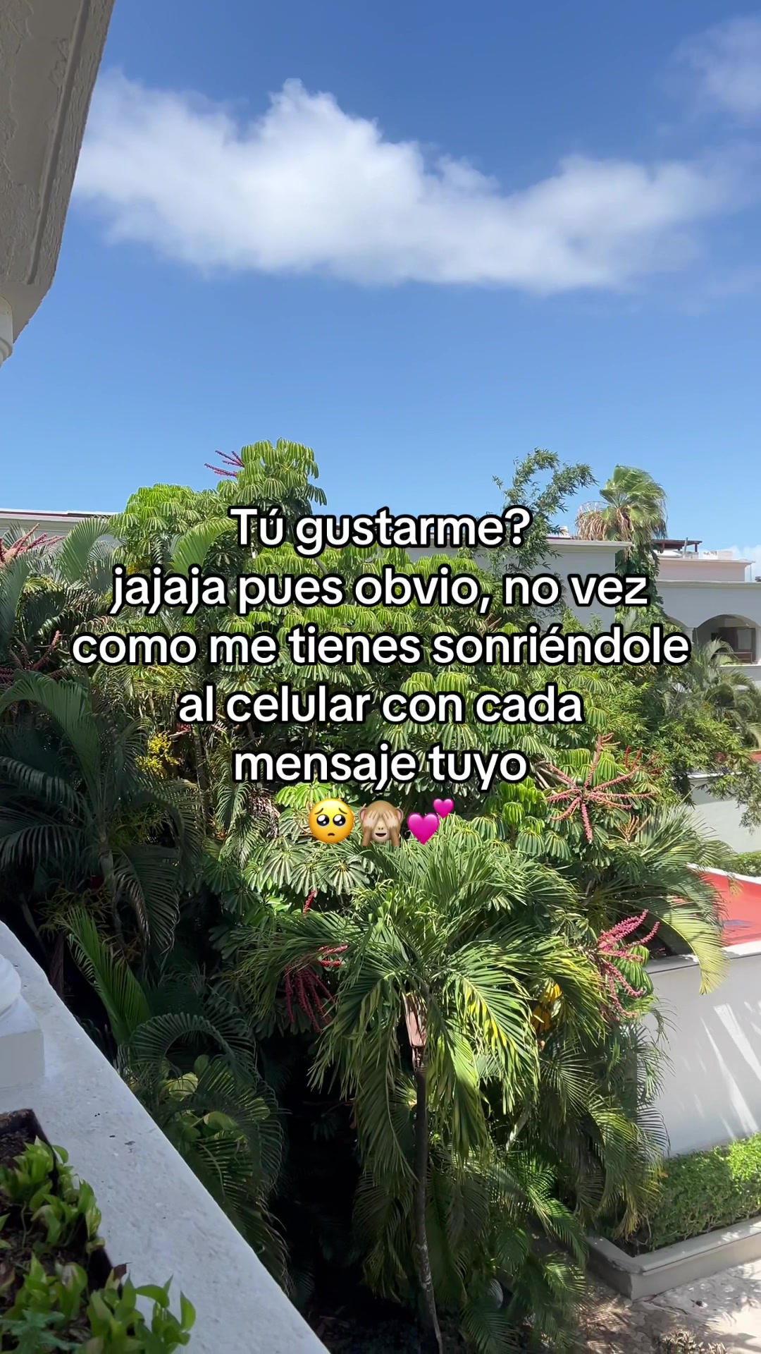 @♈️🐮🇨🇱Jixi🧸🇲🇽🌸Cool🇺🇸💚
