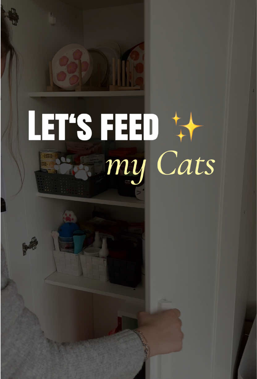 @Nala & Simba | Catcontent