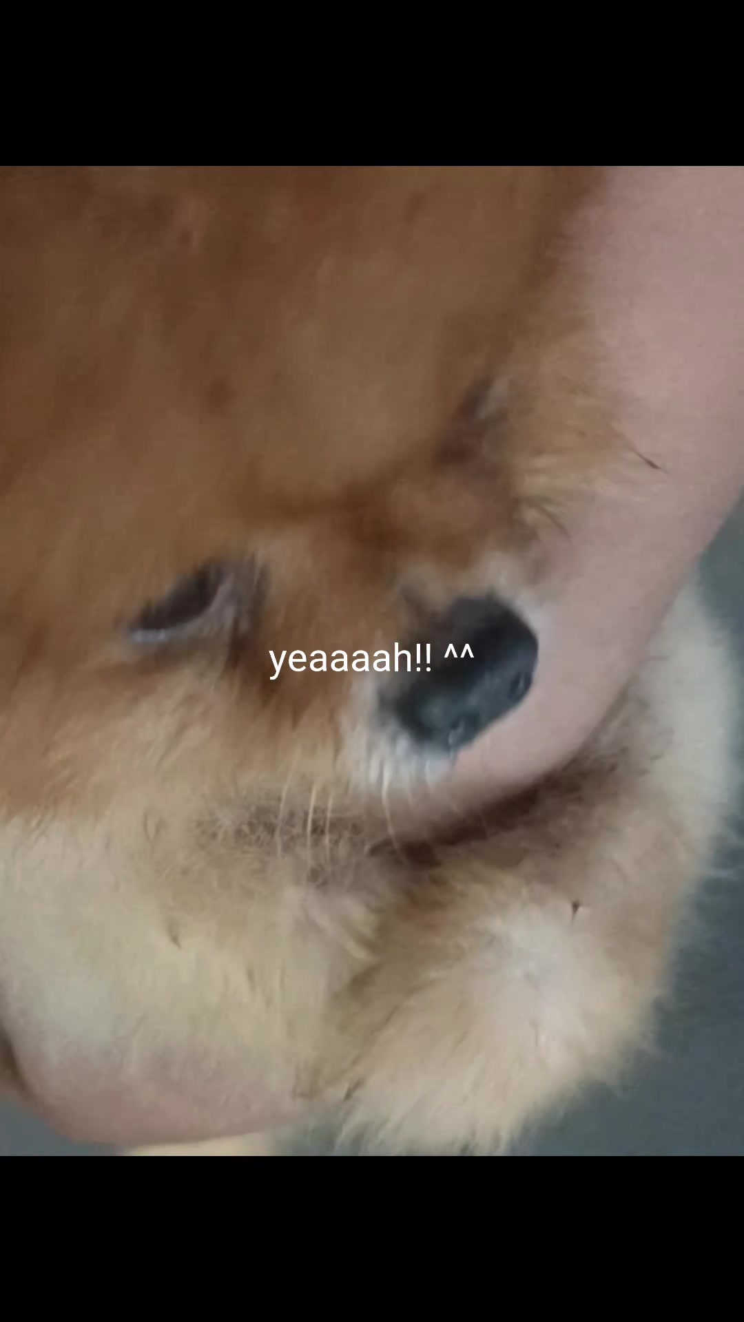 @ðŠ Dar ðŠ