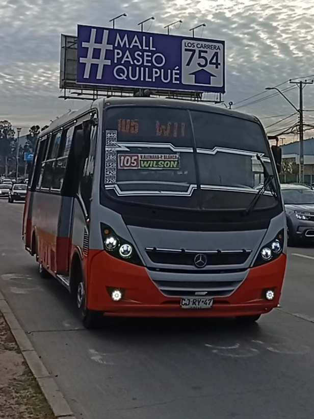 @busologia_wasabi