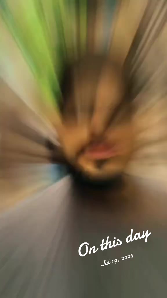 @Ji͎n͎ 👻
