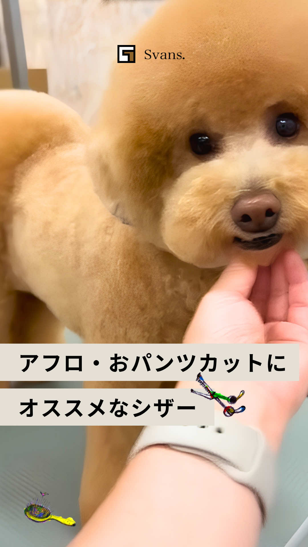 @Svans(スバンス)|トリマー向けシザー&バリカン専門