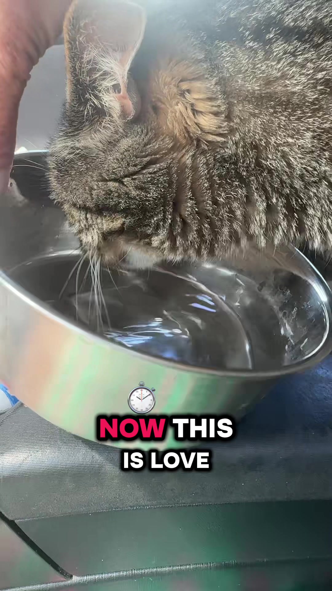 @Gigifromhappytwn