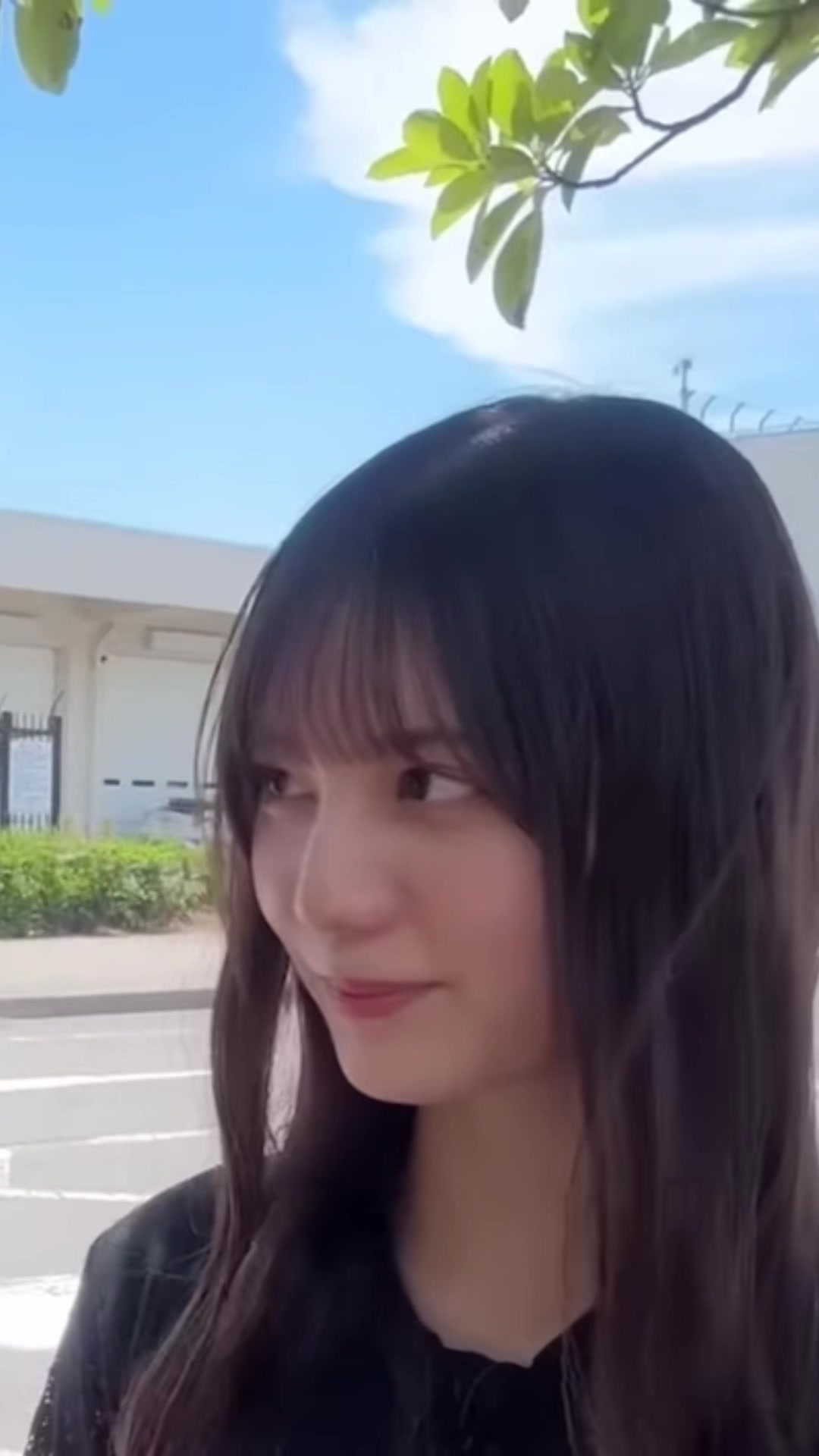@🦖